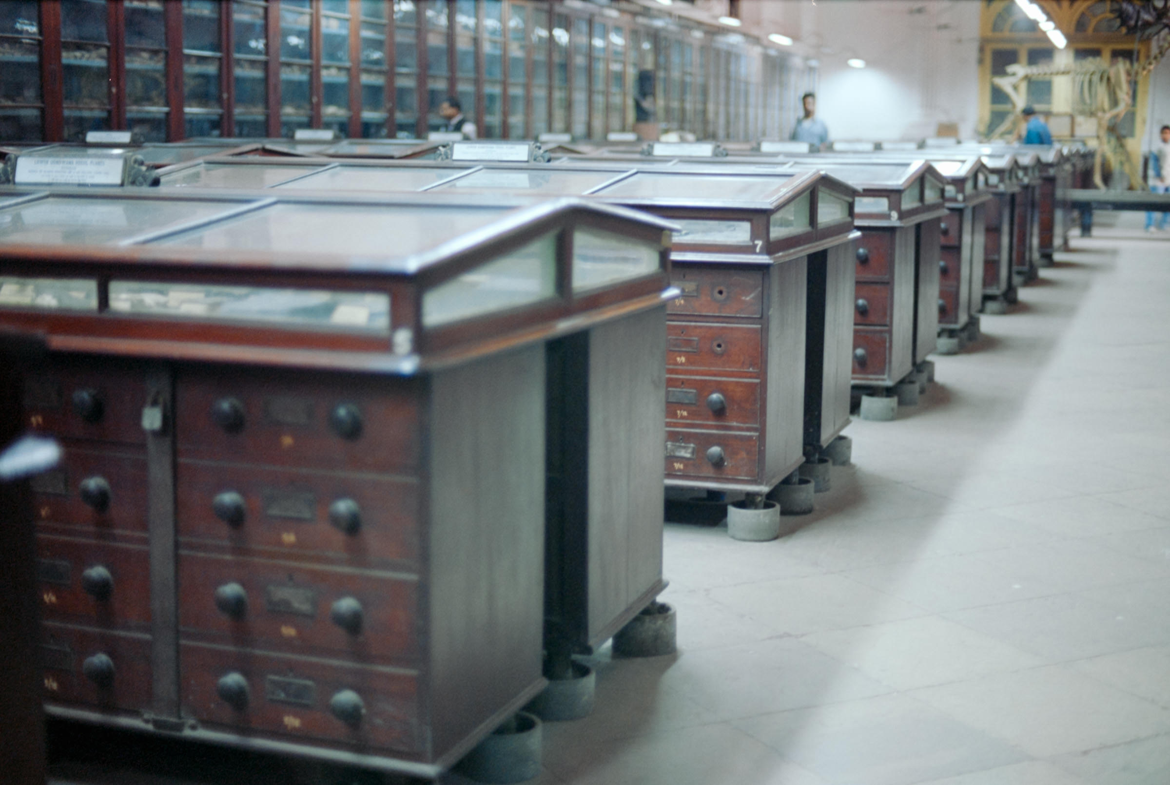 AHP film 2005 01 002 sc240825 img04 NLP